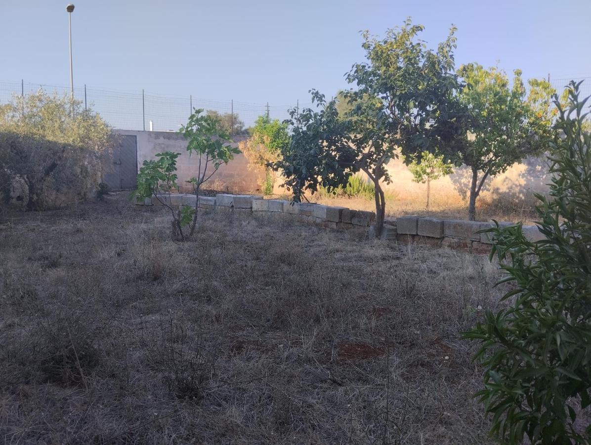 Favolosa Casa Con Terrazza, Idromassaggio, Cortile E Garage Auto Carovigno Zewnętrze zdjęcie