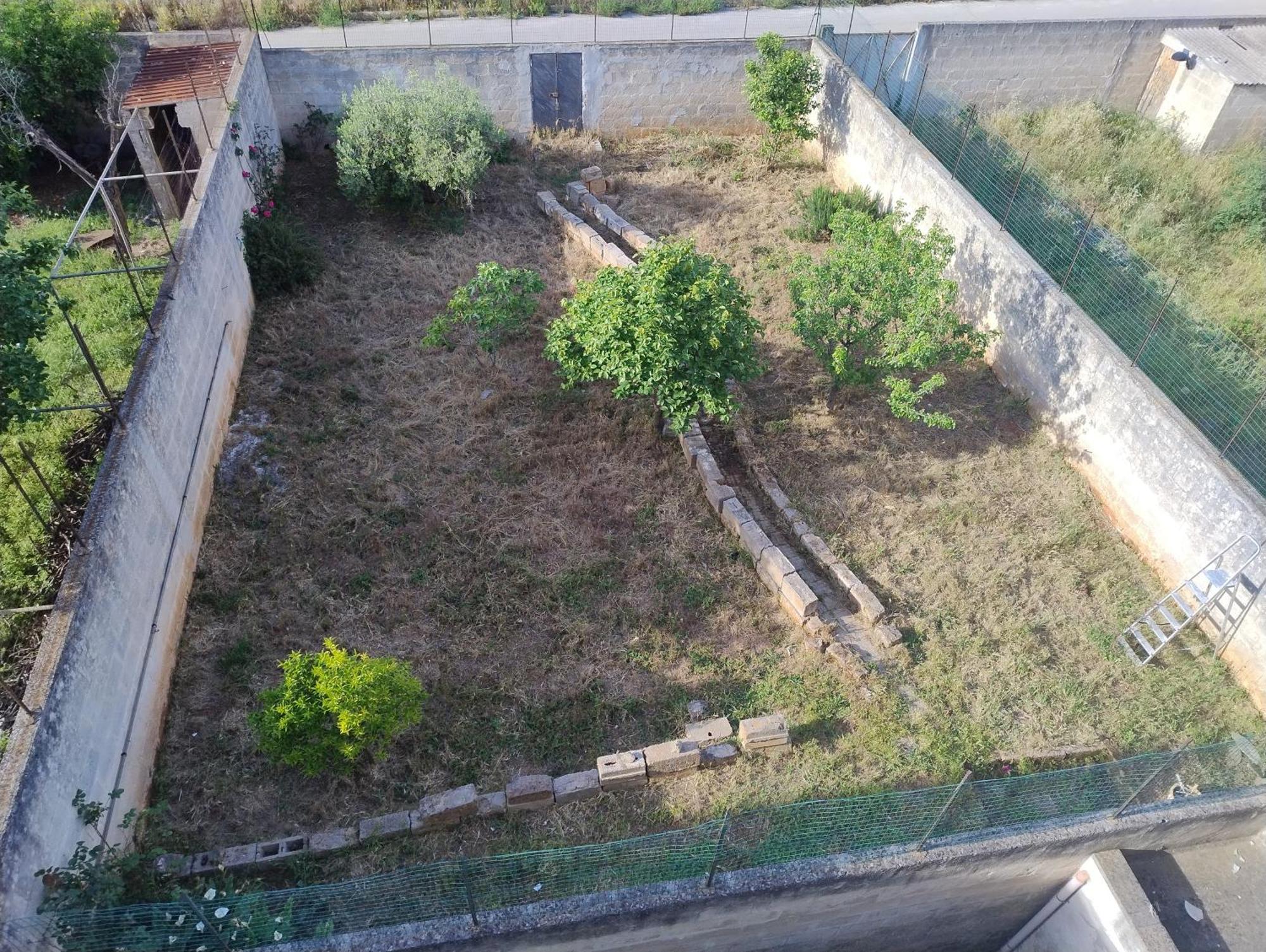 Favolosa Casa Con Terrazza, Idromassaggio, Cortile E Garage Auto Carovigno Zewnętrze zdjęcie